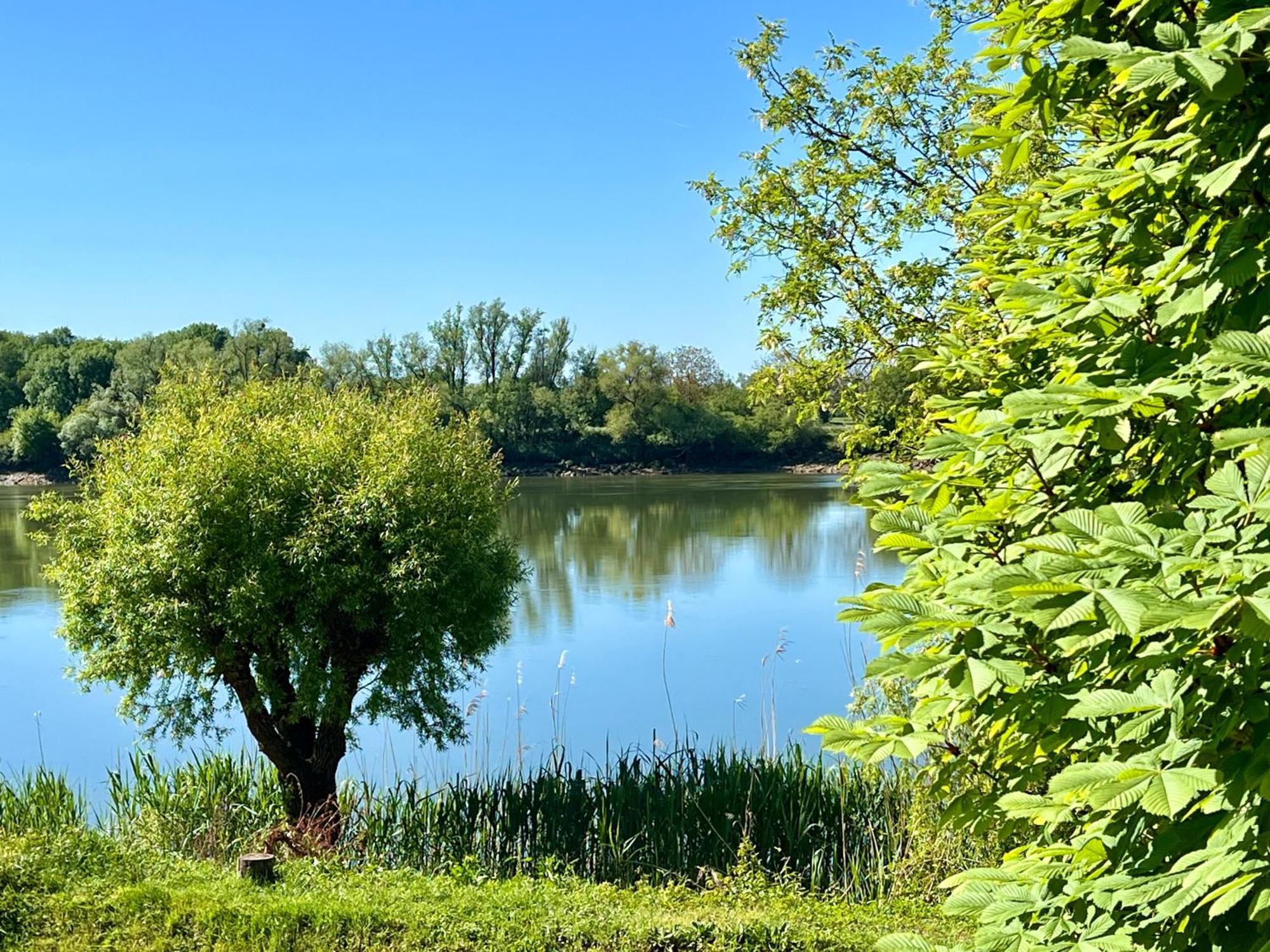La Villa Du Fleuve Quinsac  Extérieur photo